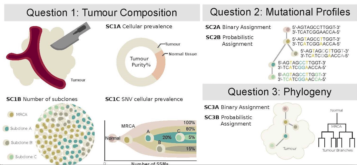 Figure from Creating Standards for Evaluating Tumour Subclonal Reconstruction article