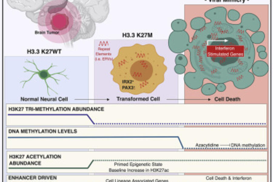 Graphical Abstract from MBP Research Paper