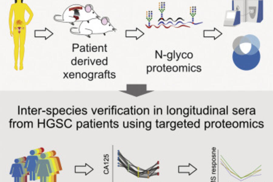 Graphical Abstract from Thomas Kislinger article