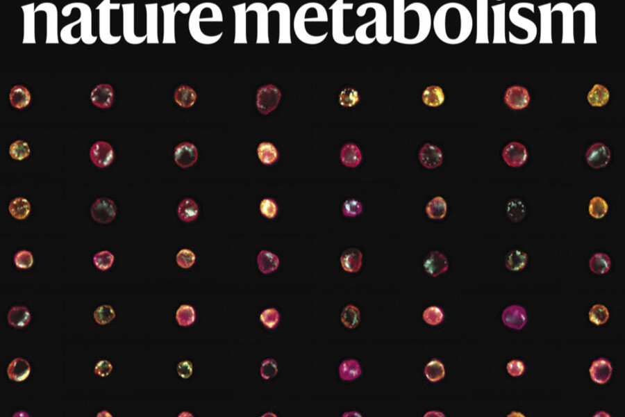 Cover image from Nature Metabolism featuring Kohkha Article