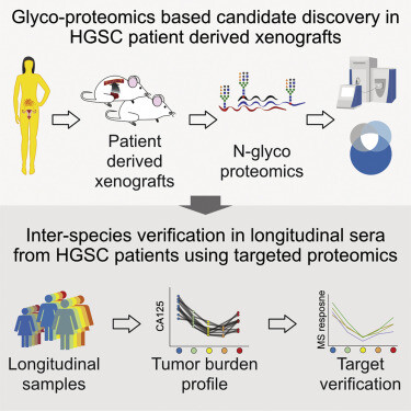 Graphical Abstract from Thomas Kislinger article