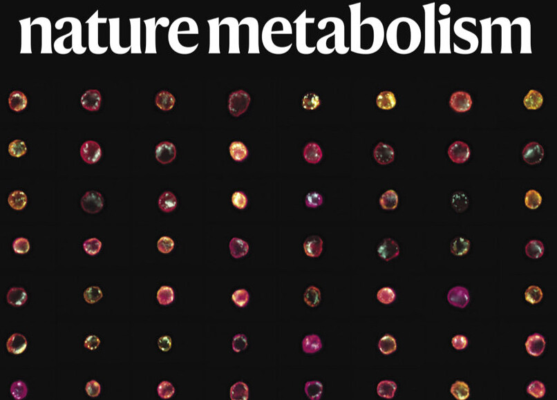 Cover image from Nature Metabolism featuring Kohkha Article